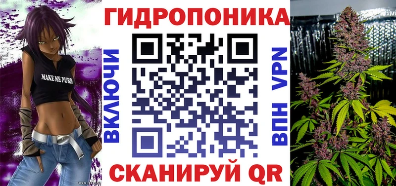 закладки  Бердск  shop клад  Каннабис Amnesia 